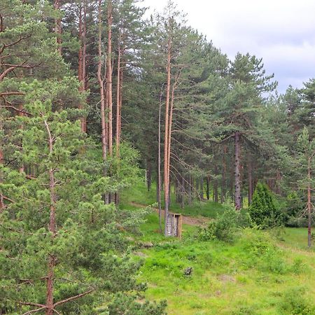 Zlatibor Holiday, Vila Leonardo VI Екстер'єр фото