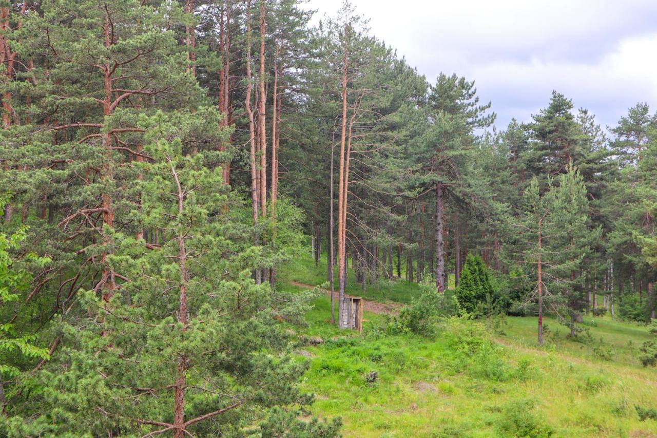 Zlatibor Holiday, Vila Leonardo VI Екстер'єр фото