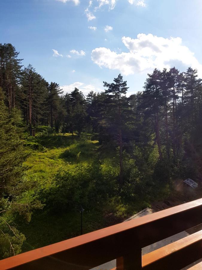 Zlatibor Holiday, Vila Leonardo VI Екстер'єр фото